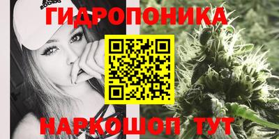 героин Сланцы