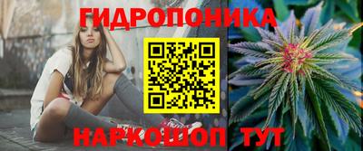 прущие грибы Славянск-на-Кубани