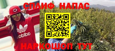 прущие грибы Славянск-на-Кубани