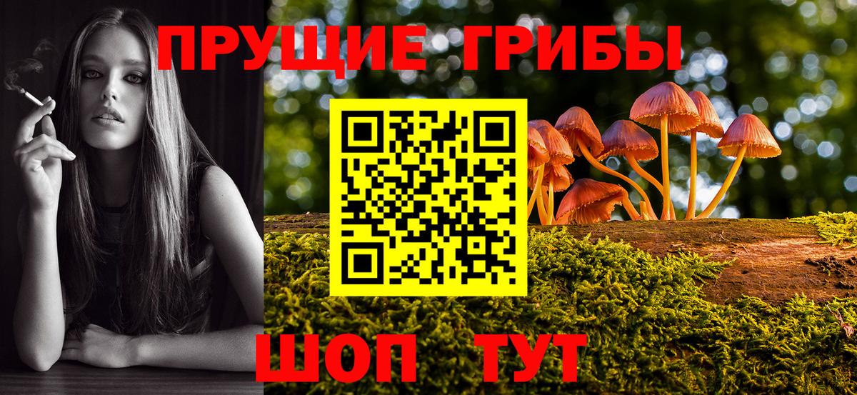 Галлюциногенные грибы мухоморы Протвино