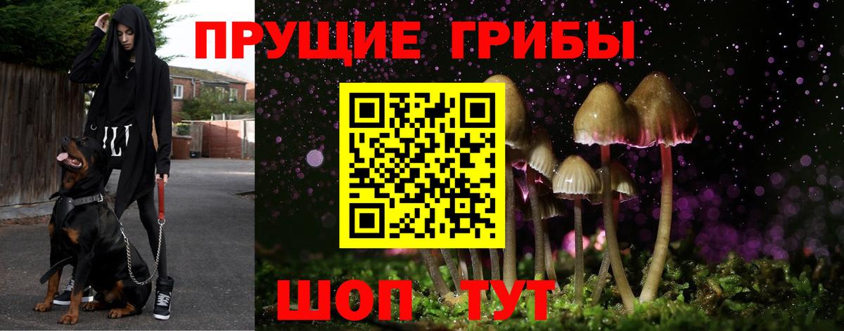 Псилоцибиновые грибы Magic Shrooms  Вход с VPN  Псилоцибиновые грибы мухоморы  Протвино 